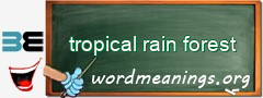 WordMeaning blackboard for tropical rain forest